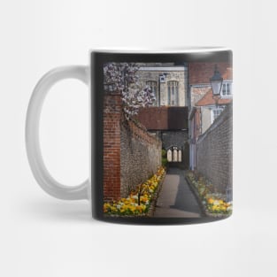 Chichester Mug